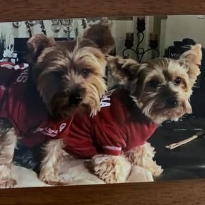 Meet your Posher, Fred